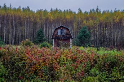 Лот: 17155706. Фото: 1. Куплю заброшенную дачу/участок. Дачи
