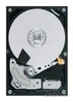 Лот: 5681076. Фото: 1. HDD Жесткий диск Toshiba md03aca300v... Жёсткие диски (HDD)