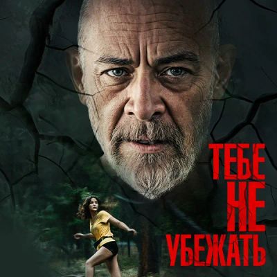 Лот: 24989483. Фото: 1. Тебе не убежать. Видеозаписи, фильмы