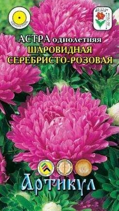 Лот: 11023108. Фото: 1. Астра одн.Шаровидная Серебристо-... Садовые цветы