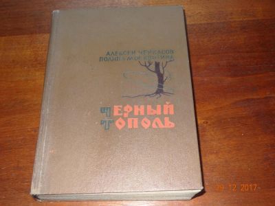 Лот: 10837625. Фото: 1. А.Черкасов П.Москвитина "Черный... Художественная
