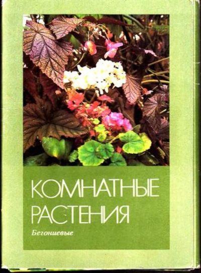 Лот: 23445045. Фото: 1. Комнатные растения. Открытки, конверты