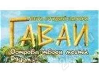 Лот: 376448. Фото: 1. Абонемент в Гаваи на 1000 рублей. Подарочные сертификаты, купоны, промокоды