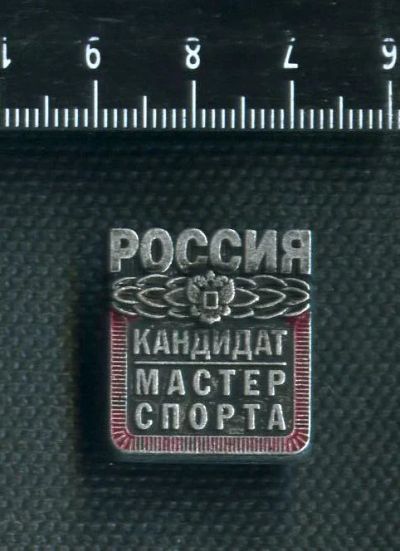 Лот: 6017032. Фото: 1. 1(№ 2970) знак спорт,кандидат... Памятные медали