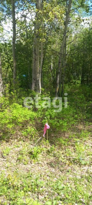Лот: 25290395. Фото: 1. участок , СНТ Ветеран-9 СНТ Ветеран-9... Земельные участки