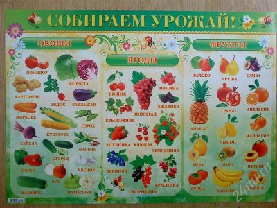 Лот: 459615. Фото: 1. Тематические и развивающие плакаты... Другое (игрушки)