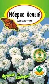 Лот: 12855303. Фото: 1. Семена ибериса белого - нарядные... Садовые цветы