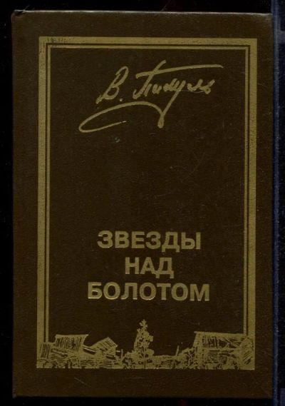 Лот: 23431768. Фото: 1. Звезды над болотом. Художественная