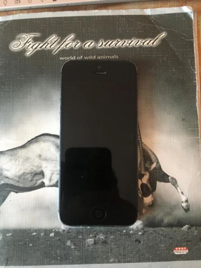 Лот: 8598745. Фото: 1. Apple Iphone 5 16Gb Black. Смартфоны