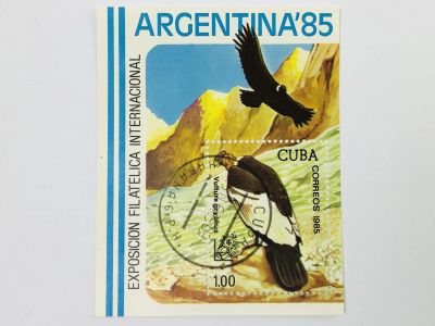 Лот: 23315077. Фото: 1. Международная выставка марок ARGENTINA-85... Марки