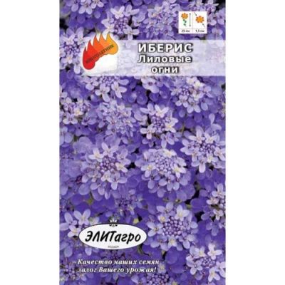 Лот: 11024321. Фото: 1. Иберис Гибралтарский Лиловые Огни... Садовые цветы