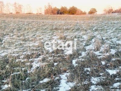 Лот: 25289343. Фото: 1. участок , село Шуваево село Шуваево... Земельные участки