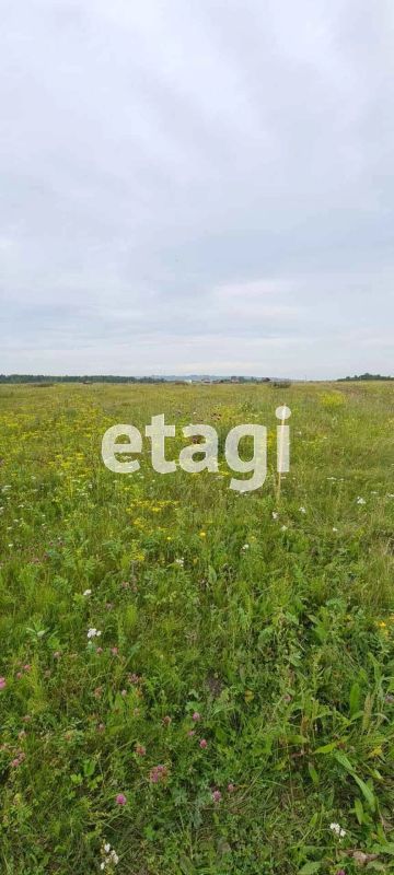 Лот: 25299365. Фото: 1. участок , деревня Погорелка деревня... Земельные участки