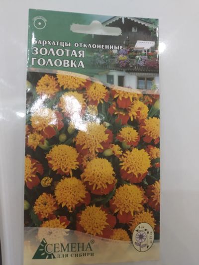 Лот: 20270469. Фото: 1. Бархатцы отклонённые Золотая Головка... Садовые цветы