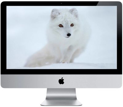 Лот: 4904541. Фото: 1. Imac 21.5 Процессор 2,9 GHz Intel... Моноблоки
