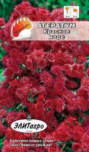 Лот: 11024133. Фото: 1. Агератум Красное Море F1 0,03гр... Садовые цветы