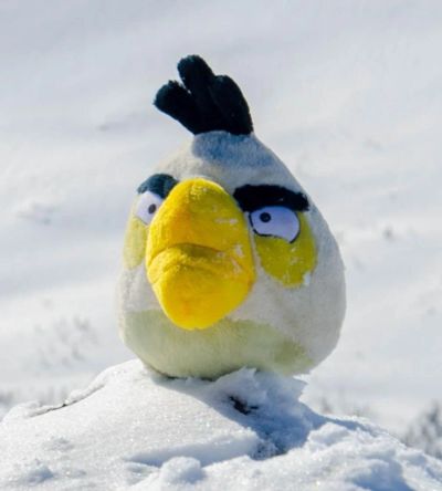 Лот: 10886472. Фото: 1. БЕЛАЯ ПТИЦА Angry Birds. Мягкие
