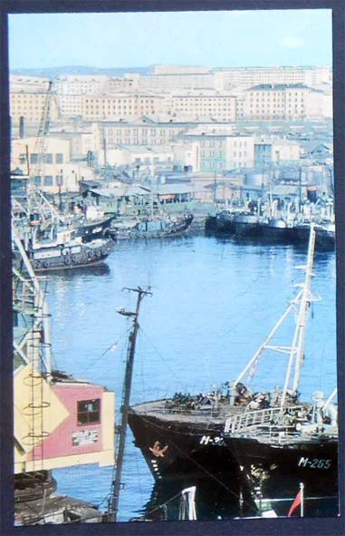 Лот: 7539757. Фото: 1. Открытка Мурманск. Морской рыбный... Открытки, конверты
