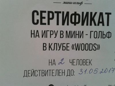 Лот: 9741325. Фото: 1. Сертификат на игру в мини гольф... Подарочные сертификаты, купоны, промокоды