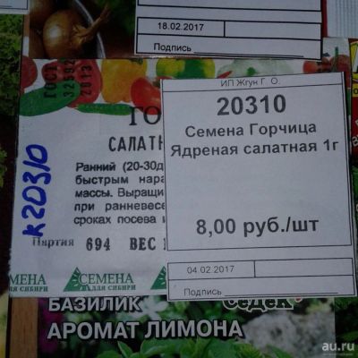 Лот: 9124864. Фото: 1. Семена / Горчица / Ядреная / салатная... Пряные, лекарственные растения и зелень