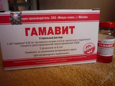 Лот: 2558944. Фото: 1. лекарства для животных гамавит. Косметика для животных