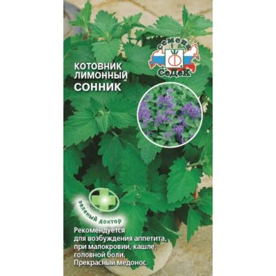 Лот: 24699526. Фото: 1. Семена Котовник, Сонник, цветная... Другое (семена, рассада, садовые растения)