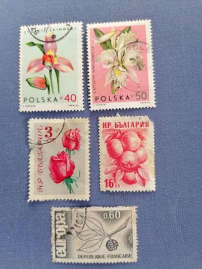 Лот: 24985688. Фото: 1. Набор марок флора. Марки