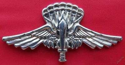 Лот: 5688658. Фото: 1. (№4444) знак "Штурмовик" (Италия... Сувенирные
