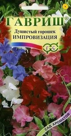 Лот: 11024259. Фото: 1. Душистый горошек Импровизация... Садовые цветы