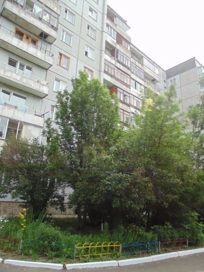 Лот: 1850408. Фото: 1. 1-комн. Академгородок Б/П. Квартиры, студии