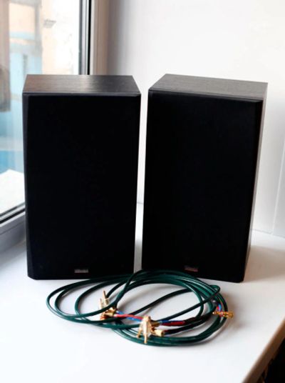 Лот: 3944843. Фото: 1. Срочно продам акустику Dynaudio... Пассивные акустические системы