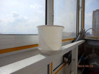 Лот: 3996250. Фото: 1. Горшок цветочный. Кашпо, горшки, вазоны для цветов
