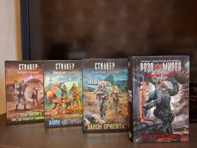 Лот: 25633120. Фото: 1. Книги «S.T.A.L.K.E.R.», «Stalker... Художественная