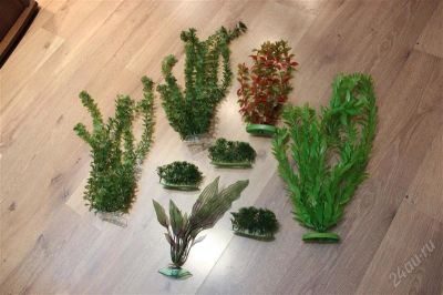 Лот: 1787216. Фото: 1. Водоросли искусственные. Водные растения