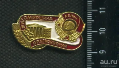 Лот: 19874043. Фото: 1. ( № 6546 ) значки Ленин,Житомерщина... Сувенирные