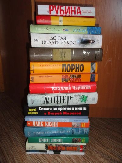 Лот: 3017358. Фото: 1. Книга Владлен Чариков "Враги народа... Другое (литература, книги)