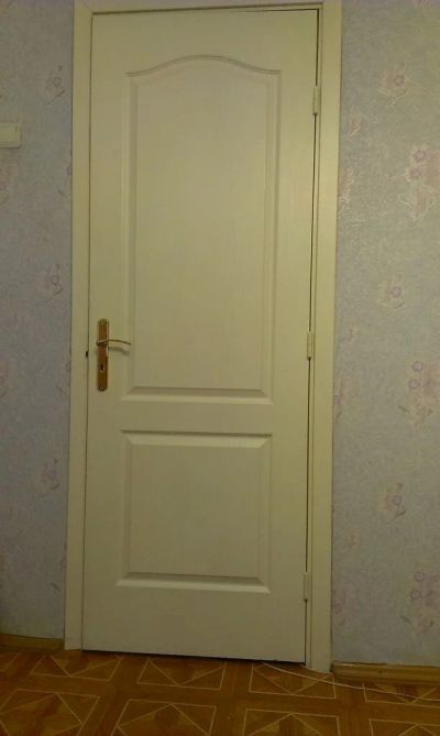 Лот: 5069734. Фото: 1. Дверь межкомнатная, глухая 2шт... Другое (мебель)