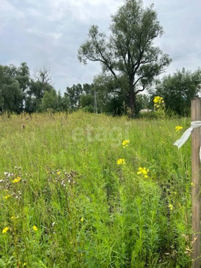 Лот: 25295546. Фото: 1. участок , село Есаулово село Есаулово... Земельные участки
