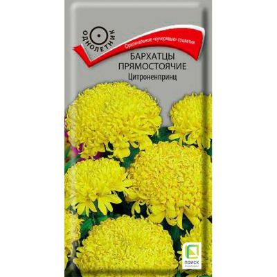 Лот: 24642591. Фото: 1. Семена Цветы, Бархатцы, Цитроненпринц... Другое (семена, рассада, садовые растения)