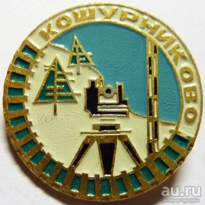 Лот: 8702508. Фото: 1. Редкий знак: Кошурниково. Железная... Сувенирные