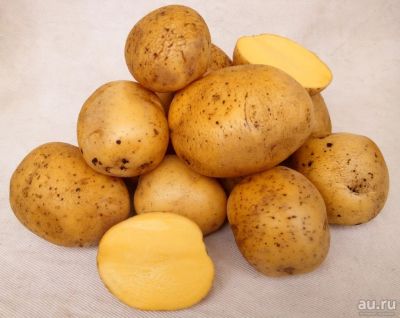 Лот: 14555075. Фото: 1. Картофель деревенский (сорт гала... Картофель