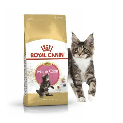 Лот: 19999205. Фото: 1. Royal Canin Kitten Maine coon... Корма