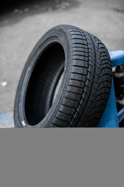 Лот: 25111329. Фото: 1. Шина Sailun Ice Blazer Alpine... Шины