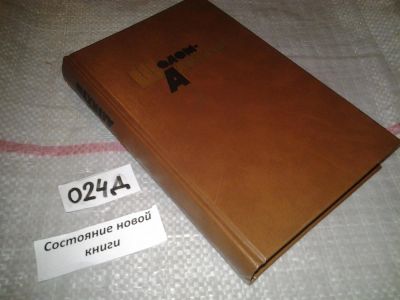Лот: 6913032. Фото: 1. Шолом Алейхем. Собрание сочинений... Художественная