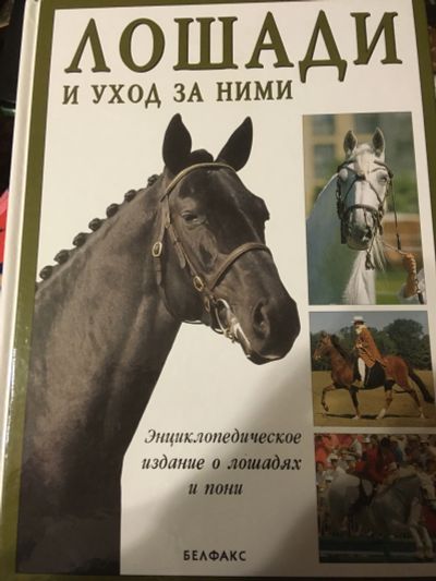 Лот: 18410841. Фото: 1. Книга Лошади и уход за ними. Энциклопедии