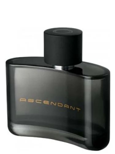 Лот: 18968088. Фото: 1. Ascendant Oriflame. Мужская парфюмерия