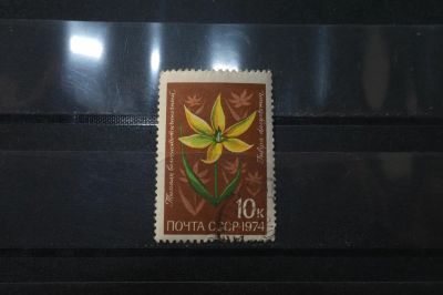 Лот: 3992048. Фото: 1. марки СССР 19 Тюльпан волосистотычиночный... Марки
