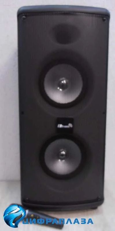 Лот: 19004404. Фото: 1. Колонка ELTRONIC 06" 20-23 (Bl... Портативные, беспроводные колонки