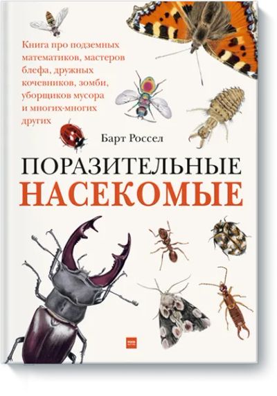 Лот: 24459083. Фото: 1. Поразительные насекомые. Художественная для детей