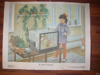Лот: 14911534. Фото: 1. Плакат СССР. Открытки, конверты